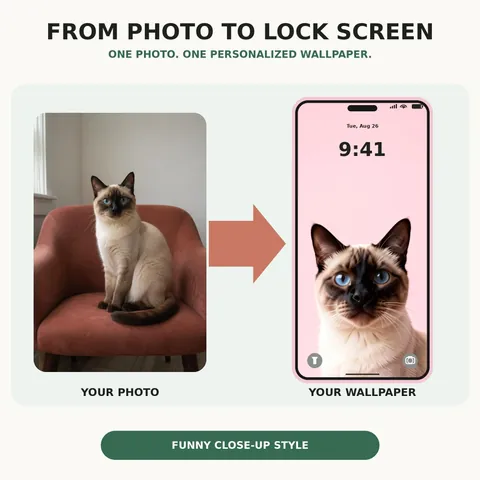 Weiteres Gestaltungsbeispiel: Lustiges Katzen-Hintergrundbild in Nahaufnahme