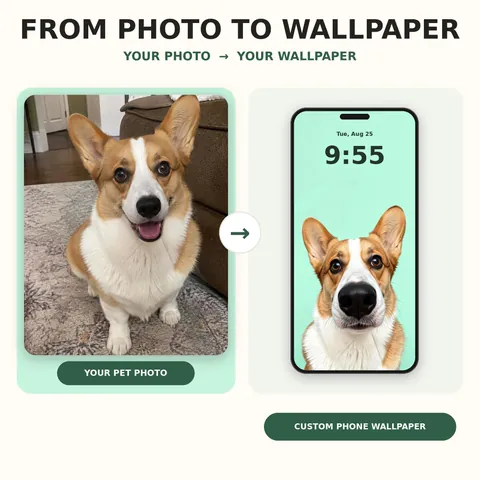 Weiteres Gestaltungsbeispiel: Lustiges Hunde-Hintergrundbild in Nahaufnahme