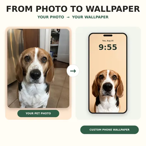 Weiteres Gestaltungsbeispiel: Lustiges Hunde-Hintergrundbild in Nahaufnahme